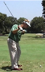 david toms backswing